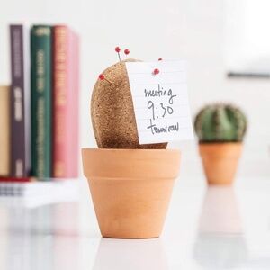 Cork Cactus Desktop Organizer/Pinboard with Ceramic Storage Pot & Red Push Pins